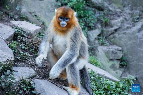 玉合公園裡的樹木與人文風情